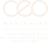 CEO Worldwide: We place executives, interim managers, and executive investors worldwide.